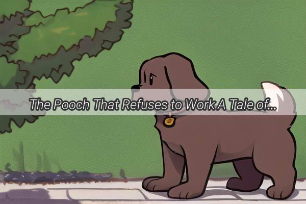 The Pooch That Refuses to Work A Tale of a Dog with a Different Purpose